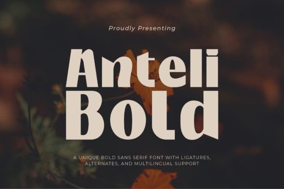 Anteli Bold Font for Editorial Design and Branding