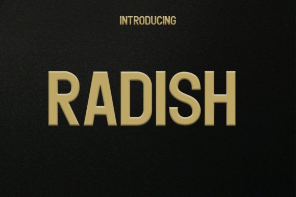 Radish Font Review: A Designer’s Take on Modern Elegance